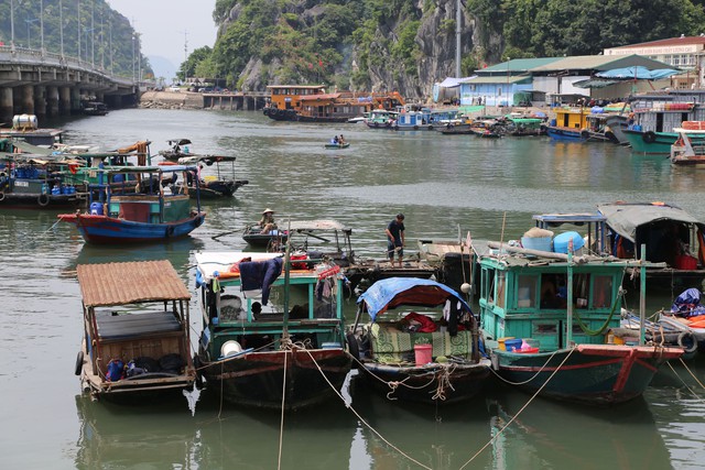 Siêu bão số 3 đổ bộ vào miền Bắc: Các địa phương khẩn trương ứng phó- Ảnh 1.