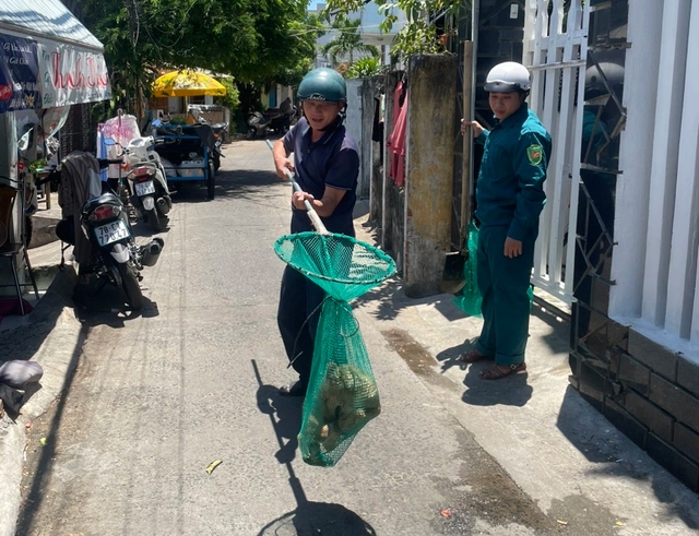 Phú Yên: Chó thả rông liên tiếp cắn người- Ảnh 3.