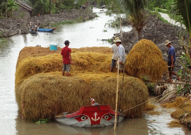 Rơm và trấu dùng để sản xuất nhiên liệu hàng không bền vững- Ảnh 1.