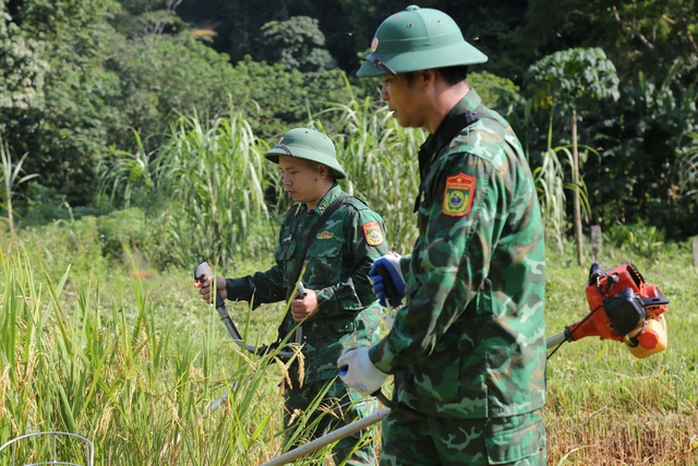 Siêu bão Yagi: Bộ đội gặt lúa chạy bão giúp dân- Ảnh 2.