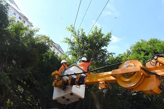 Công nhân EVNHANOI kiểm tra, cắt tỉa cây gần hành lang lưới điện trước khi bão số 3 đổ bộ