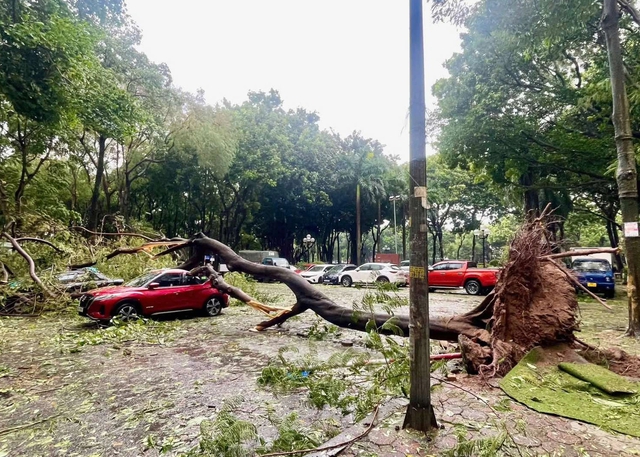 Tâm bão Yagi cách Hà Nội 200 km, 12 tiếng nữa vẫn có gió bão cực mạnh- Ảnh 1.