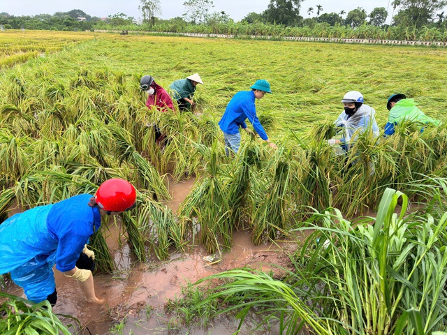 Thanh niên tình nguyện tham gia khắc phục hậu quả bão Yagi- Ảnh 4.