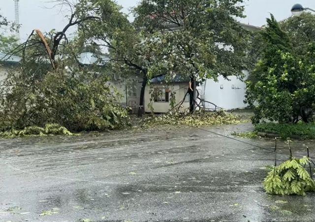 Sân Mỹ Đình phải giải quyết hơn 30 cây bị đổ sau bão, khắc phục cảnh tượng tan hoang- Ảnh 6.