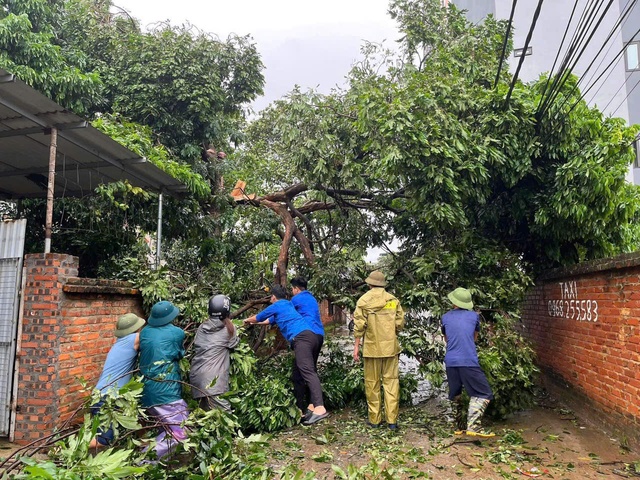 Thanh niên tình nguyện tham gia khắc phục hậu quả bão Yagi- Ảnh 8.