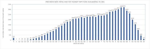 Điều kiện nào để TP.HCM có trường học dùng tiếng Anh là ngôn ngữ thứ hai?- Ảnh 2.