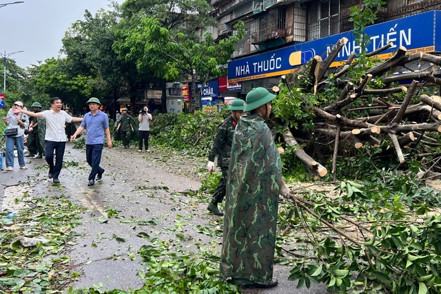 Hà Nội: Bão Yagi quật đổ gần 17.400 cây xanh, 3 người chết- Ảnh 1.