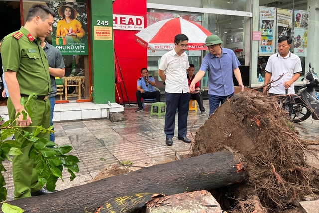 Hà Nội yêu cầu giải tỏa cây gãy đổ xong trước ngày 12.9- Ảnh 2.