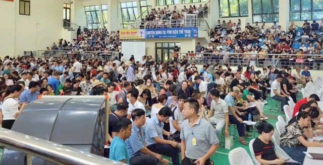  Hết làm giá đến hủy ngang- Ảnh 1.