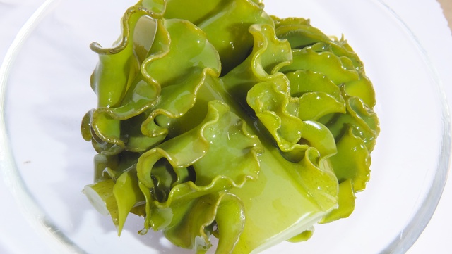 Lá bào tử tảo nâu nước lạnh (Mekabu)