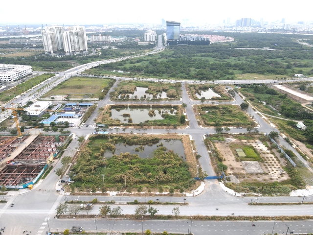  Hết làm giá đến hủy ngang- Ảnh 2.