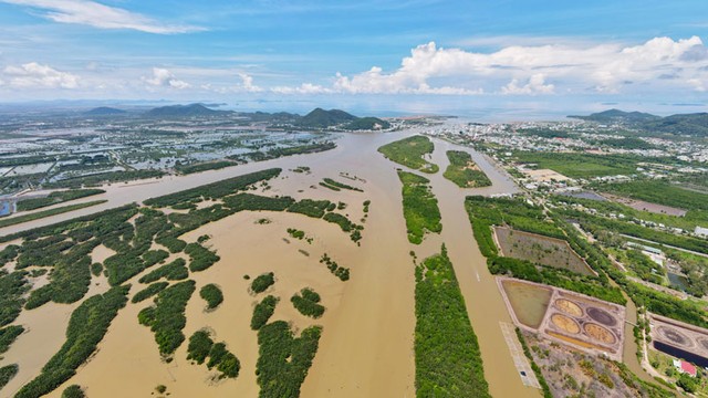 Kiên Giang: Thêm 1 người bị xử phạt 500 triệu đồng vì chiếm đất đầm Đông Hồ- Ảnh 2.