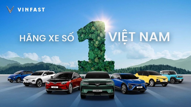 VinFast bán chạy nhất Việt Nam năm 2024- Ảnh 1.