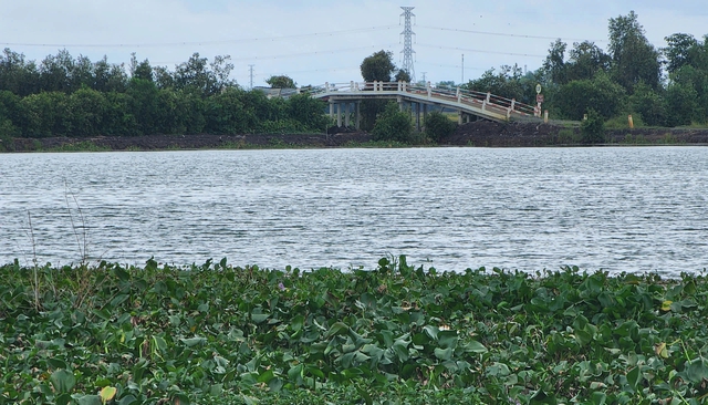 Long An: Đề nghị thanh tra toàn diện dự án công viên nghĩa trang Vĩnh Hằng- Ảnh 2.