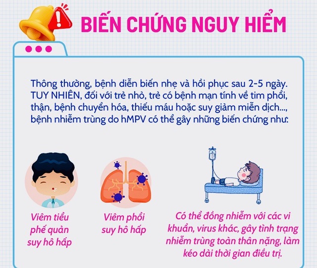 Virus hMPV gây viêm phổi có thể tiến hóa, thay đổi độc lực- Ảnh 1.