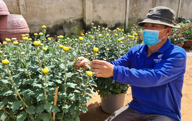 Giả thương lái mua hoa tết, lừa đảo chiếm đoạt tài sản nông dân- Ảnh 1.