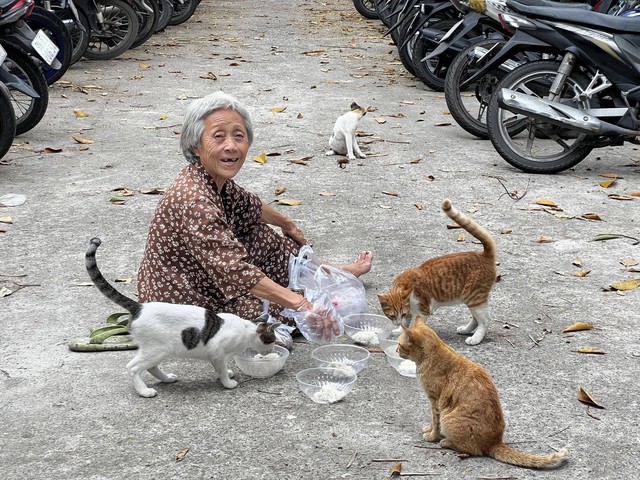 Người tung tin Thảo Cầm Viên bắt mèo hoang cho cá sấu ăn xin lỗi- Ảnh 3.