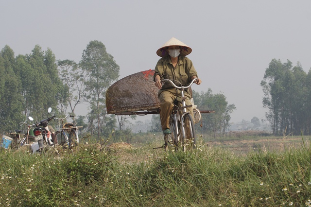 Những phụ nữ đánh dậm ở Phúc Yên- Ảnh 4.