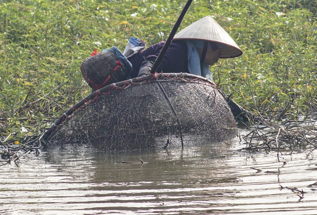 Những phụ nữ đánh dậm ở Phúc Yên- Ảnh 5.