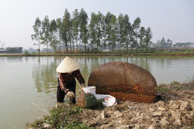 Những phụ nữ đánh dậm ở Phúc Yên- Ảnh 7.