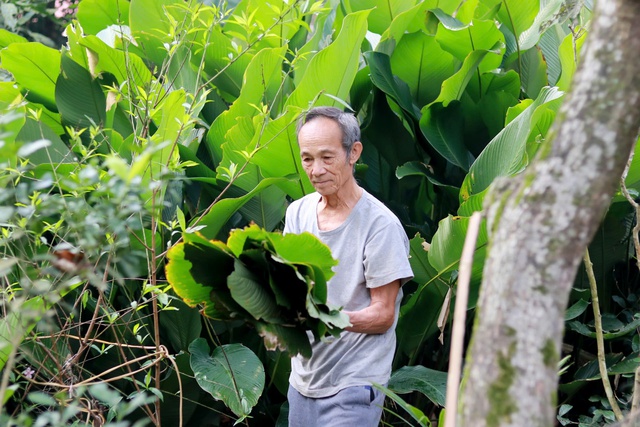 Làng 'đếm lá ra tiền' tất bật vào vụ tết- Ảnh 2.