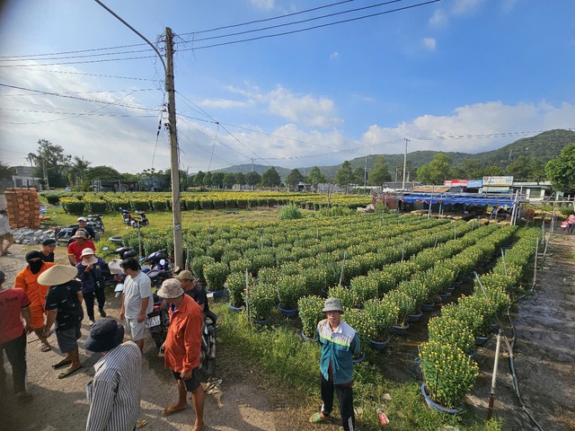 'Biệt đội' thanh niên cơ bắp vào mùa tết ở làng hoa Kim Dinh- Ảnh 7.