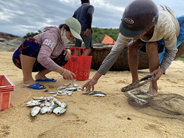 Mưu sinh trên biển Sa Huỳnh- Ảnh 3.