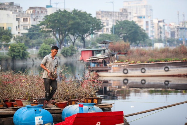 Đã thấy xuân về trên phố- Ảnh 14.