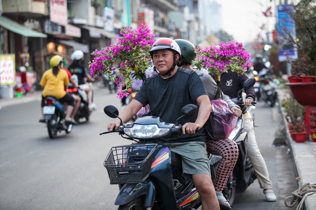 Đã thấy xuân về trên phố- Ảnh 13.