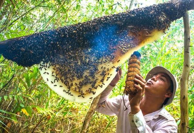 Anh nông dân kiếm tiền tỉ từ sản vật dưới tán rừng tràm- Ảnh 1.