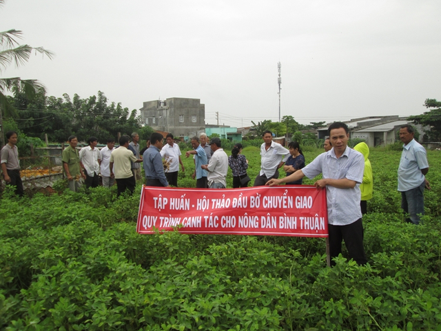 Sáp nhập viện vào trường ĐH: Viên chức không thích nghi việc mới, được đổi việc khác- Ảnh 1.