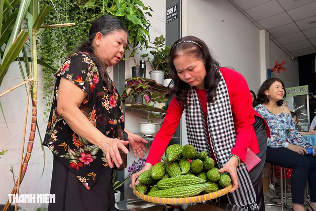 'Nông dân sân thượng' ở TP.HCM đoán số kg trái khổng lồ: Vỡ òa niềm vui tết- Ảnh 3.