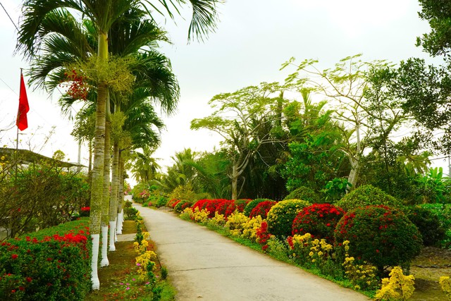 Ăn tết kiểu miền Tây khi làm đẹp cho... hàng rào- Ảnh 1.