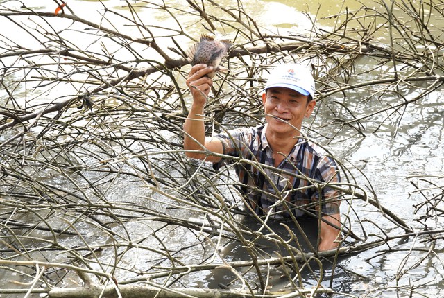 Ngày tết, người miền Tây dỡ chà bắt cá ở đất mũi: Du khách có trải nghiệm thú vị- Ảnh 8.