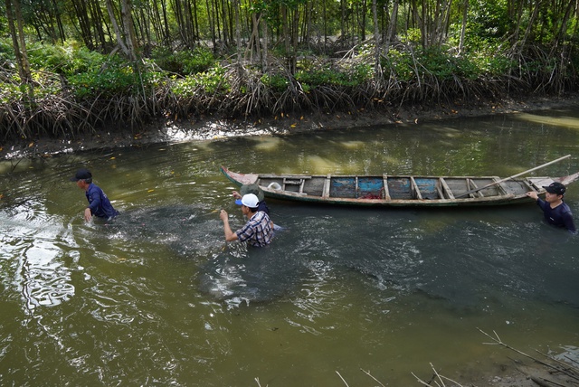 Ngày tết, người miền Tây dỡ chà bắt cá ở đất mũi: Du khách có trải nghiệm thú vị- Ảnh 7.