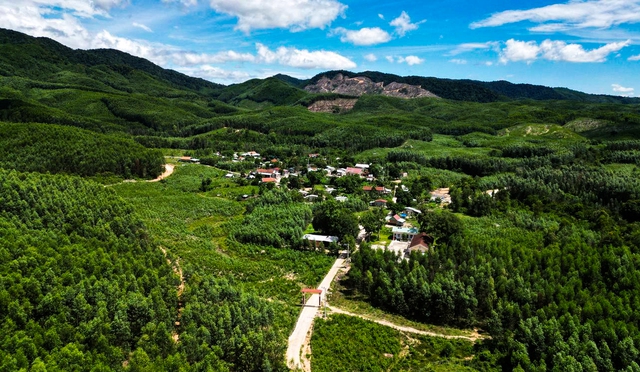 B&igrave;nh Định: M&ugrave;a xu&acirc;n đầu ti&ecirc;n c&oacute; điện ở l&agrave;ng Canh Giao- Ảnh 1.