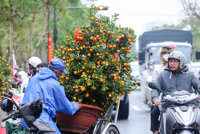 Chợ hoa ngày giao thừa: Người bán đào ‘thà vứt chứ không để bị ép giá’- Ảnh 3.