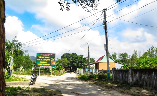 B&igrave;nh Định: M&ugrave;a xu&acirc;n đầu ti&ecirc;n c&oacute; điện ở l&agrave;ng Canh Giao- Ảnh 5.