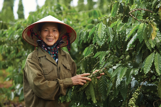 NESTLÉ Việt Nam tiên phong phát triển bền vững, đồng hành kiến tạo tương lai xanh- Ảnh 1.