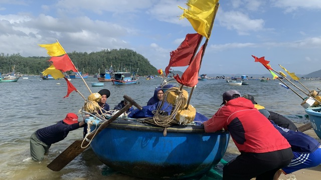 Ngư dân Phú Yên kiếm tiền triệu mỗi đêm nhờ trúng tôm hùm giống- Ảnh 2.