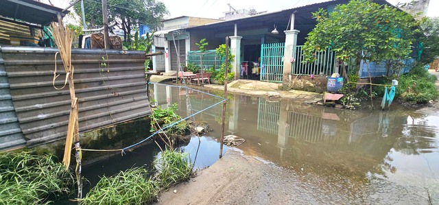 - Ảnh 4. - Ảnh 4.