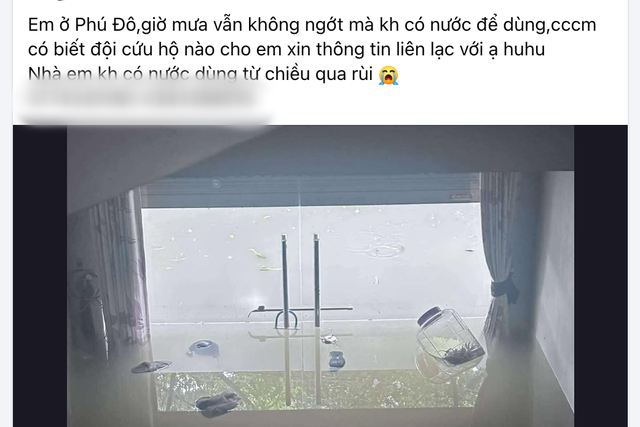 'Cố thủ' vì ngập lụt, dân Phú Đô lên mạ…