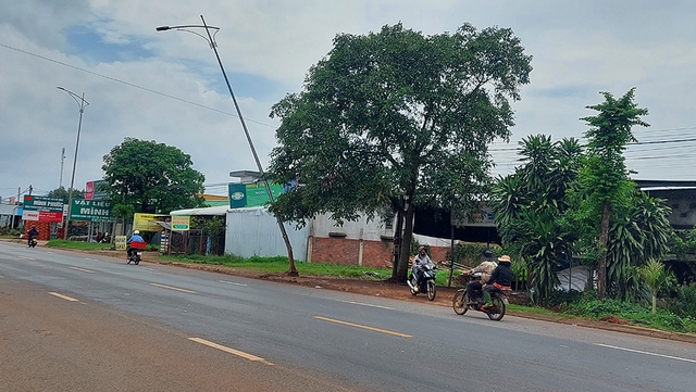 Trụ đèn nghiêng- Ảnh 1.