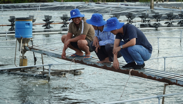 Cà Mau nhân rộng mô hình nuôi tôm tuần hoàn nước, không xả thải ra môi trường - Ảnh 2.