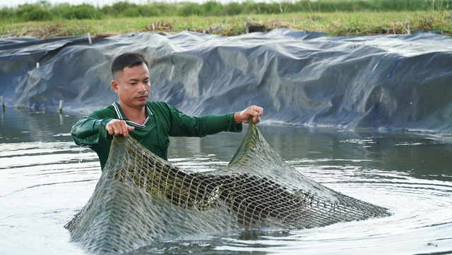 Cà Mau nhân rộng mô hình nuôi tôm tuần hoàn nước, không xả thải ra môi trường - Ảnh 3.