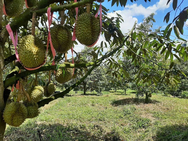 Lộ diện thế hệ người giàu thứ 2 trên sàn chứng khoán- Ảnh 4.