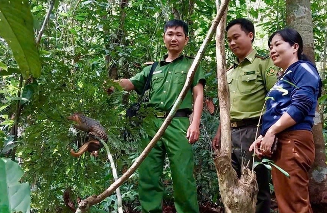 Động vật quý hiếm bò vào sân, người dân bắt nộp cho công an - Ảnh 2.