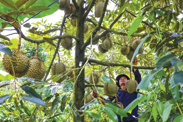 Nông nghiệp hút nhiều tỉ phú - Ảnh 4.