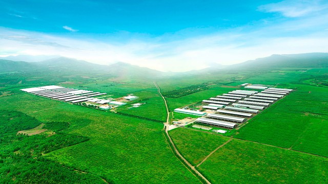Tham vọng 'biến' Gia Lai thàn…