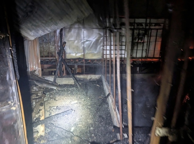 - Ảnh 2. - Ảnh 2.